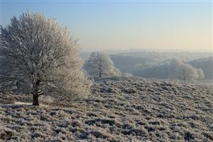 De witte oase met staal blauwe lucht in Veluwezoom