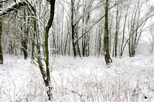 Groesplaat bedekt met sneeuw