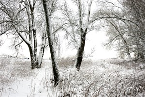 Groesplaat bedekt met sneeuw