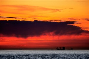 Drukte rondom de nieuwe maasvlakte