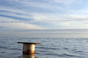 Rustigegevende stranden bij de maasvlakte