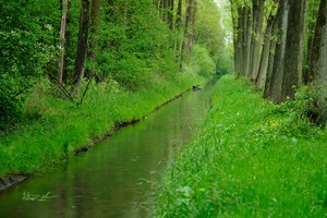 Wandelpaden langs beken