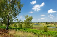 Uitzicht vanuit paraboolduinen in het Landgoed De Hamert, Landgoed de Hamert