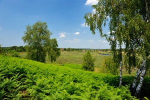 Glooiende gevormd door de Maas