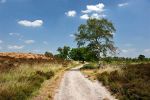 Landgoed De Hamert heeft een uitgebreide wandelroutenetwerk