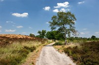 Landgoed De Hamert heeft een uitgebreide wandelroutenetwerk, Landgoed de Hamert