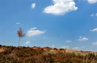 Landgoed De Hamert is een fotogeniek natuurgebied, Landgoed de Hamert