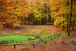 Lekker genieten van een mooie herfstdag.