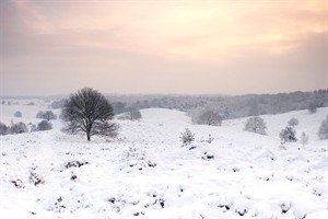 Fraai uitzicht met zonsopkomst Veluwezoom