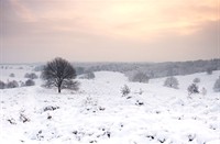 Fraai uitzicht met zonsopkomst Veluwezoom