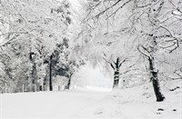 Wandelpaden waren maagdelijk besneeuwd...