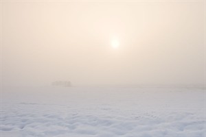 Mist in de Polder Berkenwoude