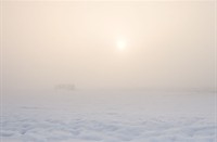 Mist in de Polder Berkenwoude