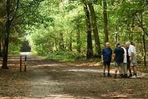 Wandelaars inde Rucphense Bossen