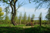 Doorkijkjes op de appelsdijk - Geldermalsen, De Betuwe