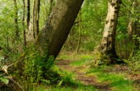 Wandelpaden slingeren door het natuurgebied Stolwijkse Boezem