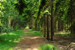 Wandelroutes van Landgoed De Utrecht