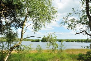 Uitzicht op het meer in Landgoed De Utrecht