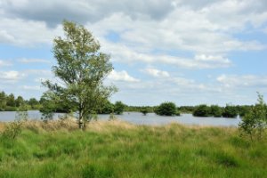 Doorkijkjes langs de wandelroutes in Landgoed De Utrecht