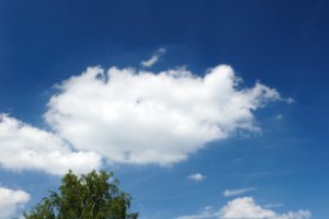 Fotograaf Yil maakt fotos van de schapenwolken