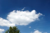 Fotograaf Yil maakt fotos van de schapenwolken, Ermelosche Heide