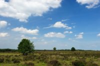 Vergezichten van het Ermelosche Heide, Ermelosche Heide