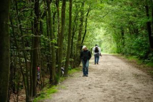 Meerdere wandelpaden kruisen de Rucphense bossen