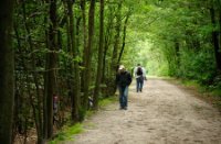 Meerdere wandelpaden kruisen de Rucphense bossen, Rucphense Bossen