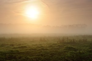 Zonsopgang in de polders naast de Zouweboezem