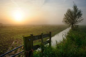 Polders naast de De Zouweboezem