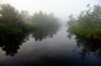 Uizicht vanuit het vondelpad naar de kijkscherm, De Zouweboezem