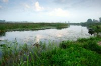 Uitzicht op de Zouwebezoem, De Zouweboezem