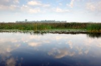 Weerspiegeling van het lucht op De Zouweboezem, De Zouweboezem