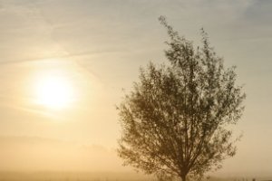 Typisch Hollands zonsopgang