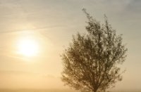 Typisch Hollands zonsopgang, De Zouweboezem