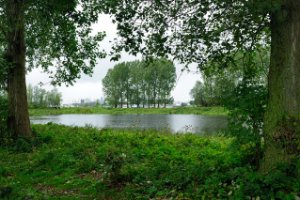 Uitzicht op het voormalig bouwdok op het Eiland van Brienenoord