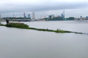 Genoeg doorkijkjes op de skyline van Rotterdam vanaf het Eiland van Brienenoord