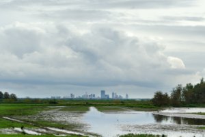 Uitzicht op de Rotterdamse skyline vanuit Ackerdijkse plassen