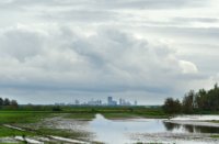 Uitzicht op de Rotterdamse skyline vanuit Ackerdijkse plassen