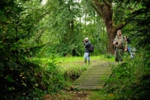 Hollandgroen team struinend door de Ackerdijkse plassen