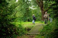 Hollandgroen team struinend door de Ackerdijkse plassen