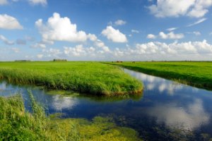 Typisch Hollands wolken en weilanden