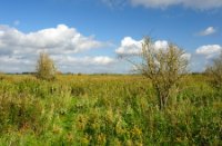 Wandelroute slingert door het natuurgebied