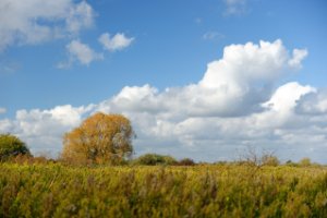 Af en toe mooie doorkijkjes langs de wandelroute