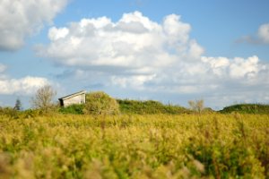 Vogelkijhut in de Korendijkse Slikken