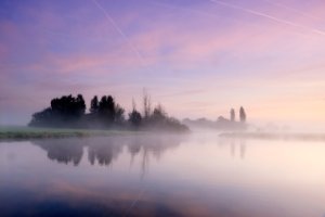 Het plas naast een klein perceel bos bij zonsopkomst