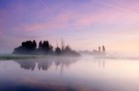 Het plas naast een klein perceel bos bij zonsopkomst