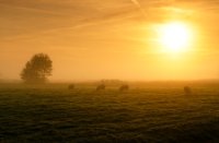 Zonsopkomst bij Polder Berkenwoude