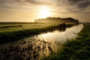 Indrukwekkende effecten met reflecties in de Polder Berkenwoude