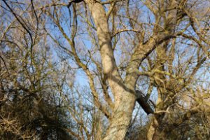 Start van de wandeling bij het Waterbos